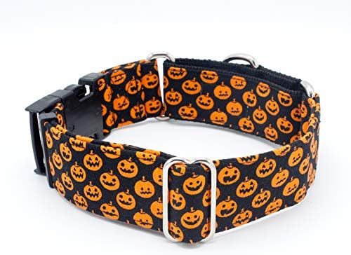 Jack o 'ogrlicu za pse sa panjevima 1 - 2 širina kopča i martingale - Halloween bundeve