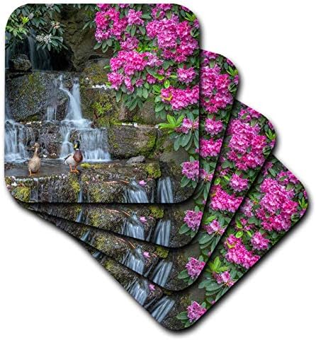 3drose SAD, Oregon. Mallard patke pored vodopada i rododendrona. - CERAMIČKI CASILE CASTERS, set od 8, set-8-keramika,